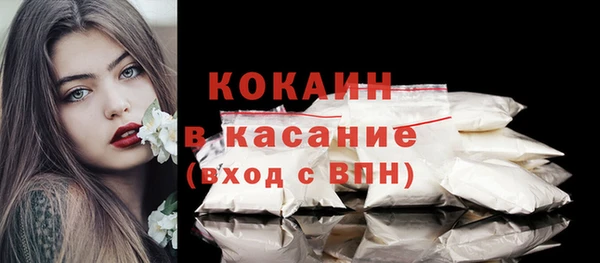 амф Ладушкин