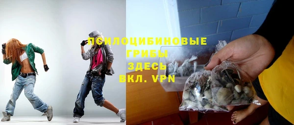 Альфа ПВП Лагань