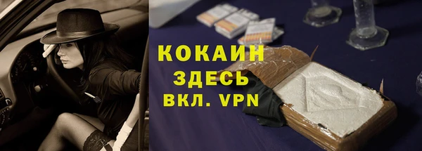амф Ладушкин