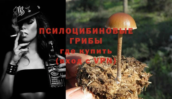 Альфа ПВП Лагань
