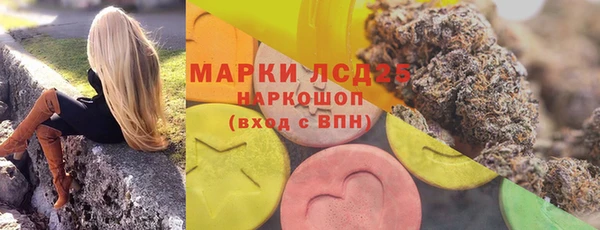 Альфа ПВП Лагань